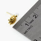 18K Gold Dipped Textured 11mm Turtle Stud Earrings