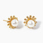 White Gold Dipped 6mm Pearl Flower Post Stud Earrings