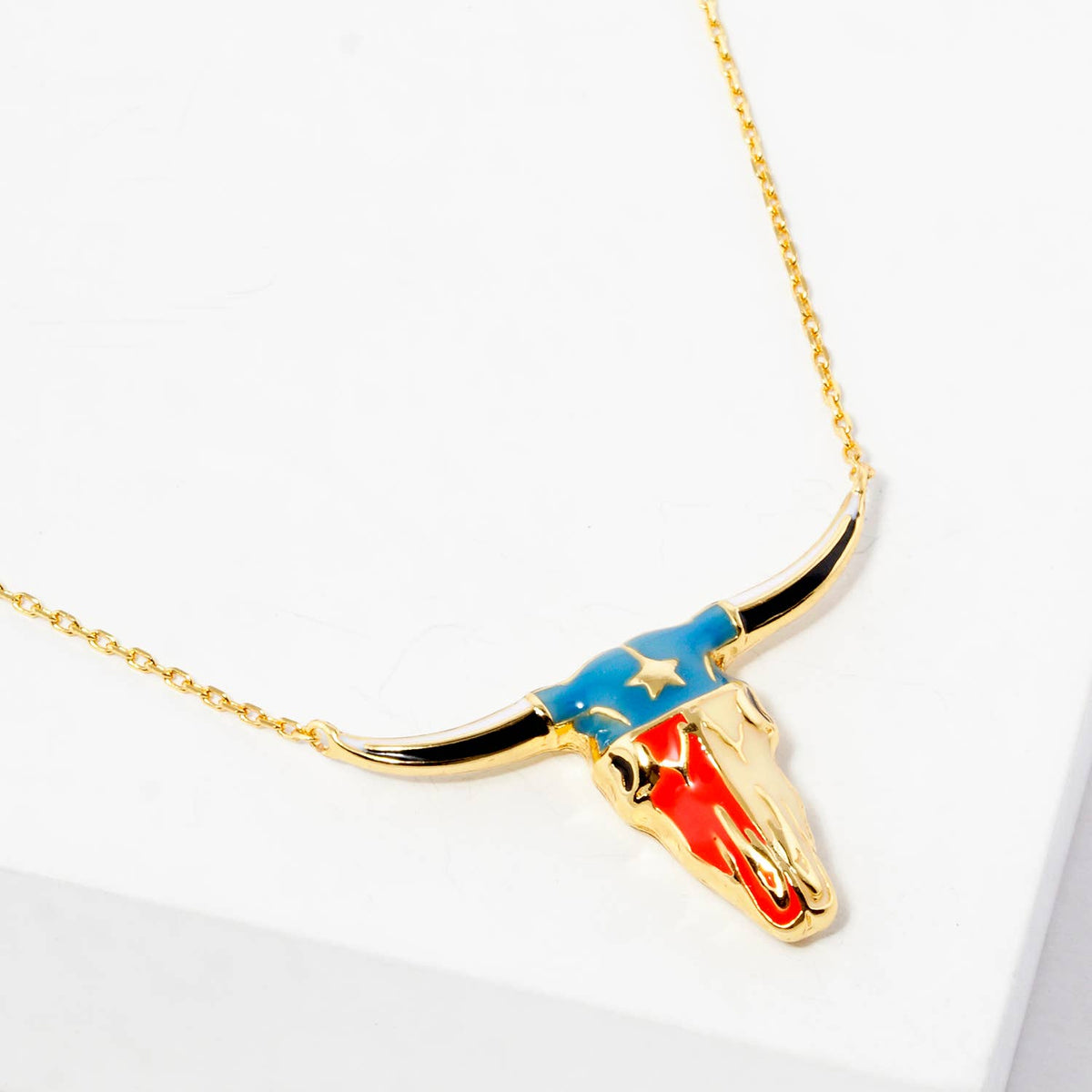 Texas Longhorn Bull Skull Flag Enamel Necklace
