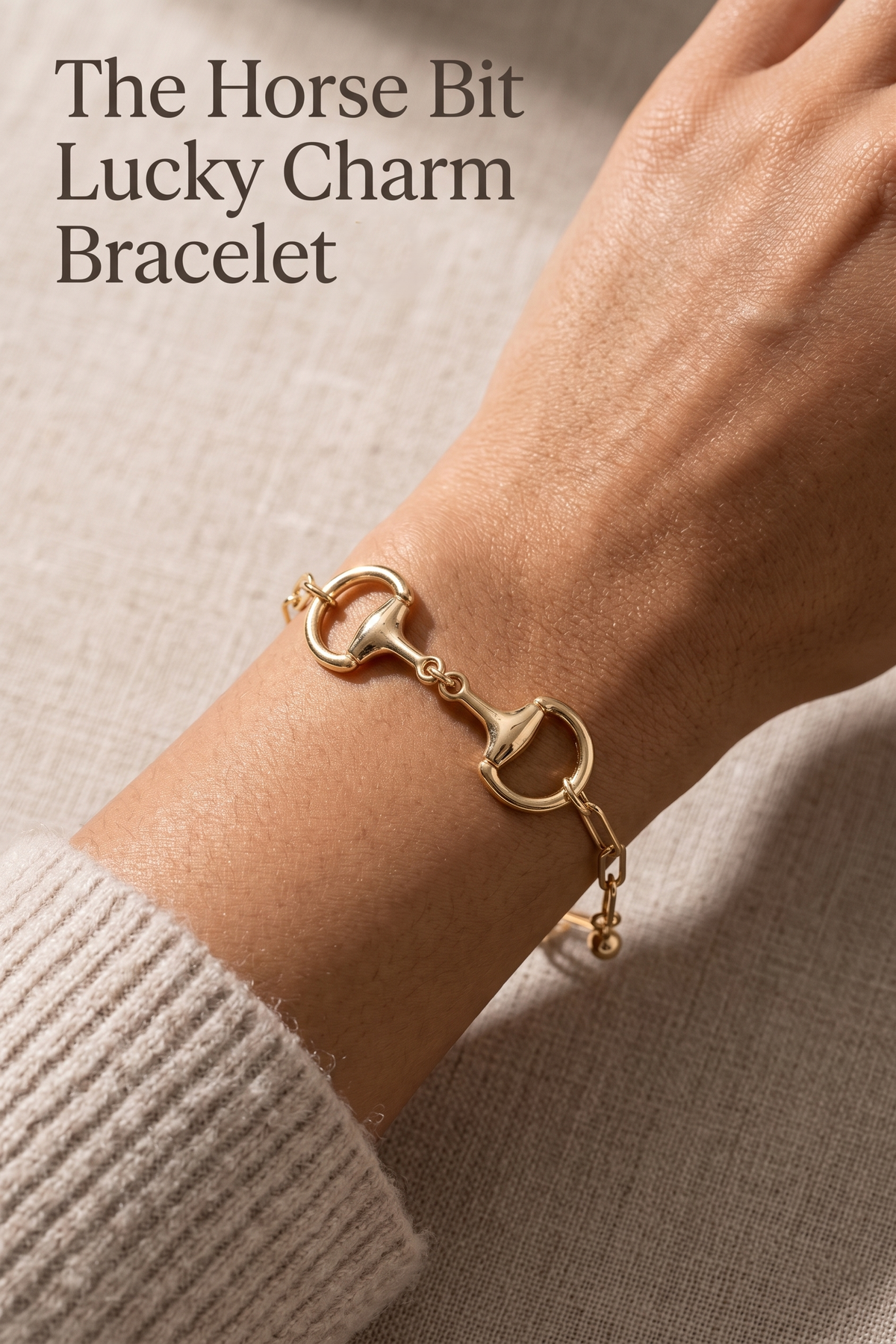 The Horse Bit Lucky Charm Link Bracelet