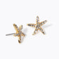 Crystal Pave 15mm Starfish Stud Earrings