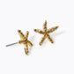 Crystal Pave 15mm Starfish Stud Earrings