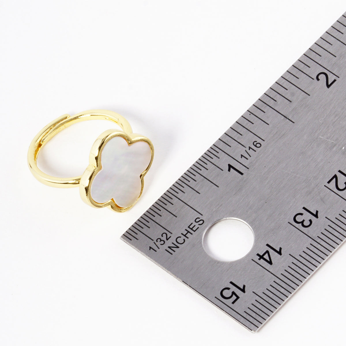 PR2900 PR2900-SIZE.JPG