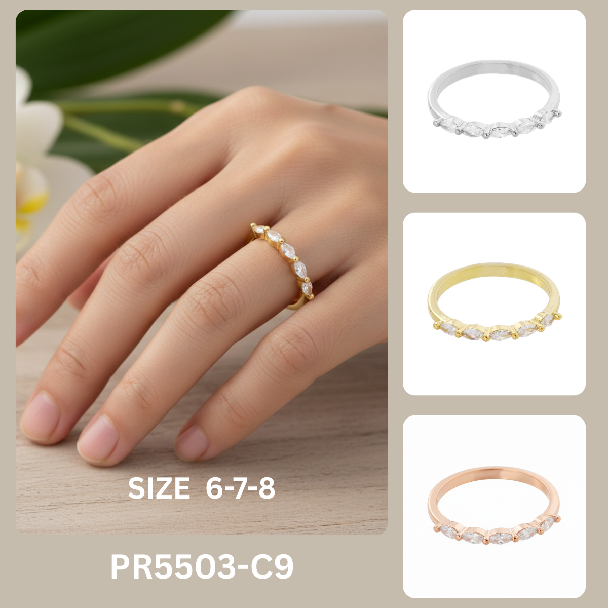PR5503-C9.png