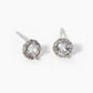 18k Gold Dipped 4-Prong CZ Pave Round Stud Earrings