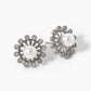 Freshwater Pearl Shell Collector Earrings