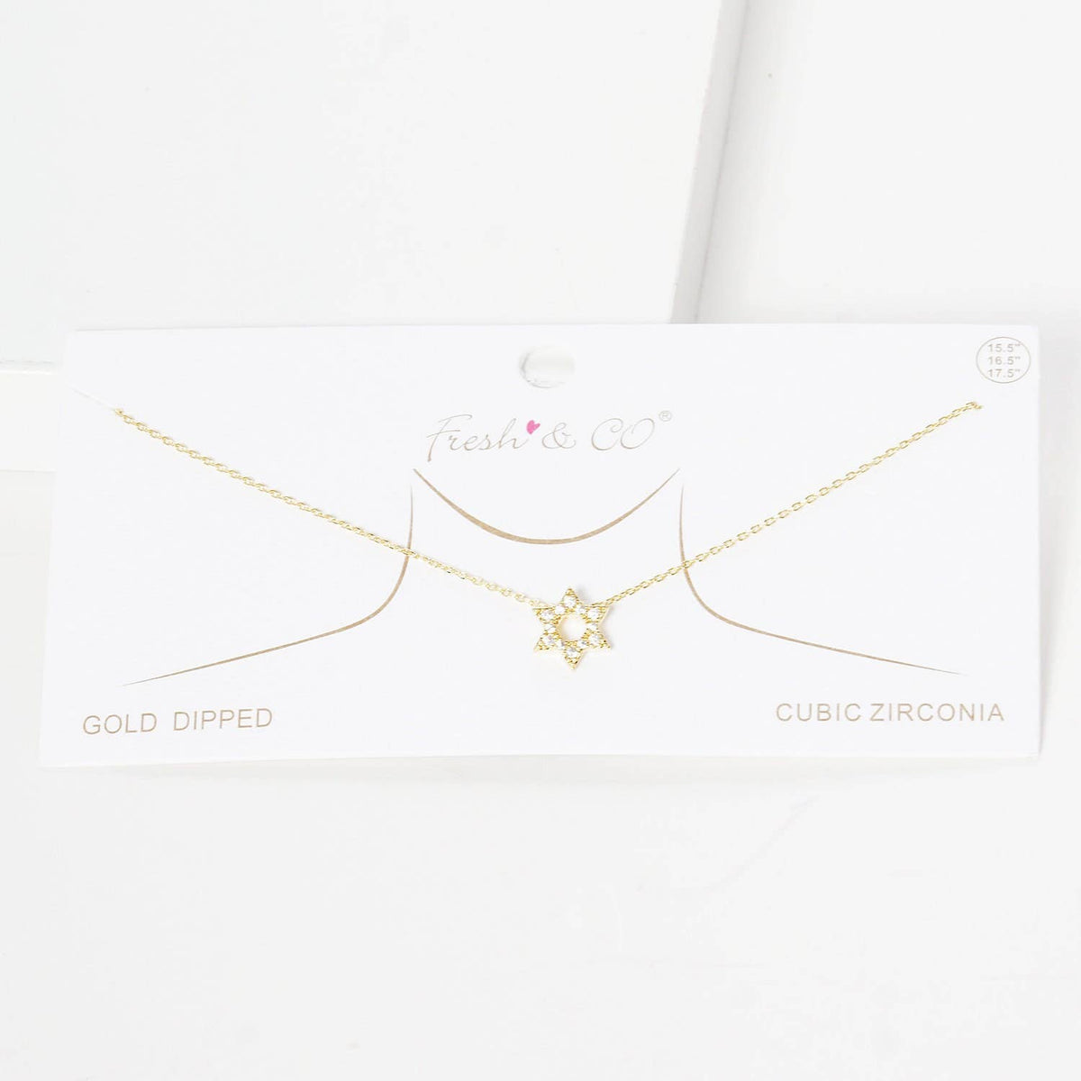Gold Plated David Star Necklace