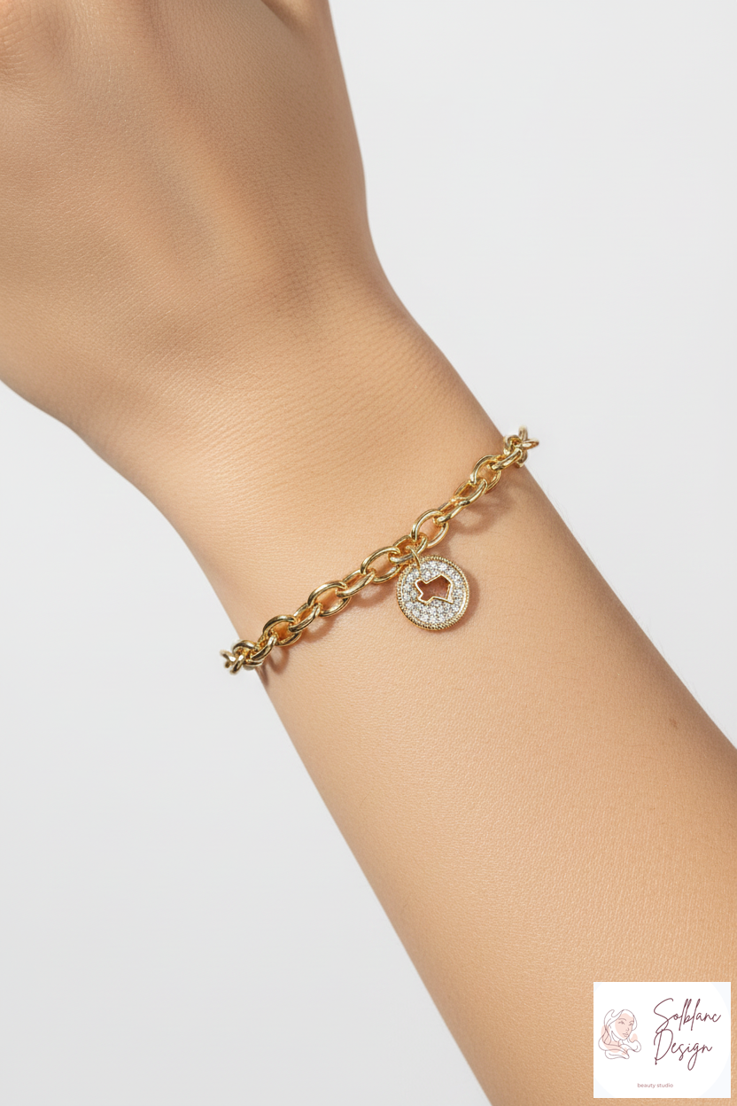 Texas State Charm Pave Cubic Zirconia Link Chain Bracelet